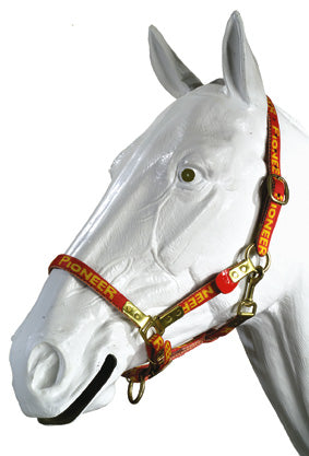 00704 -Pioneer CAVEZZA NYLON DOPPIA